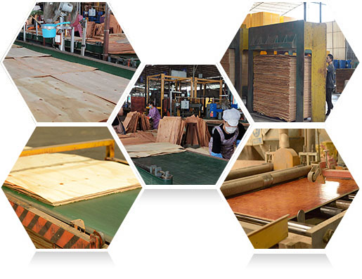 —高效生產(chǎn)，快速交貨