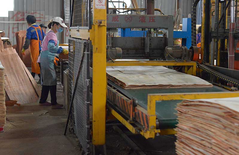 怪獸木業(yè)建筑模板產品介紹