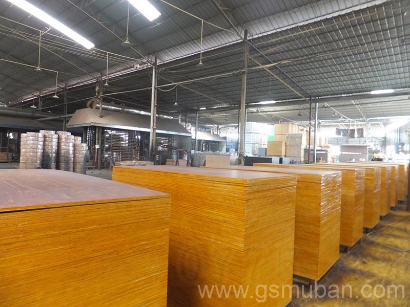 什么是桉木模板？廣西模板廠家推薦