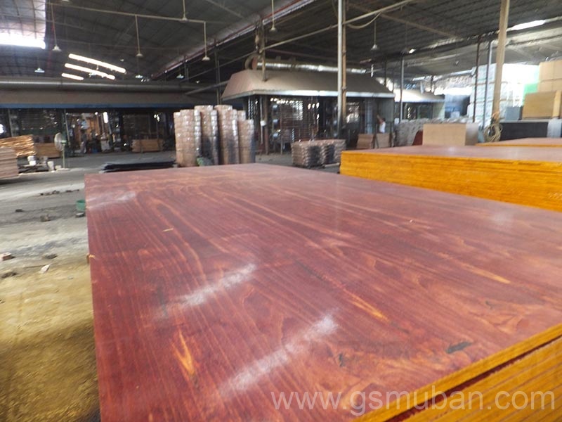 什么是桉木模板？廣西模板廠家推薦