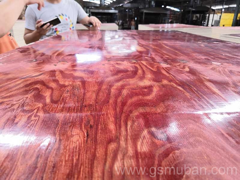 2025年建筑模板市場(chǎng)分析：機(jī)遇與挑戰(zhàn)并存！